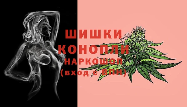 винт Магас