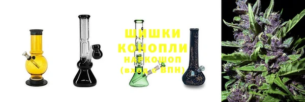 гидра Чита