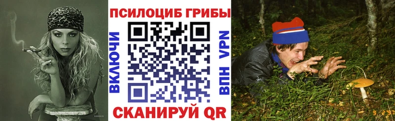 Галлюциногенные грибы прущие грибы магазин Мичуринск
