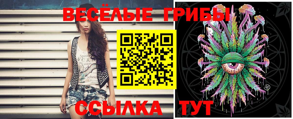 Галлюциногенные грибы GOLDEN TEACHER Мичуринск