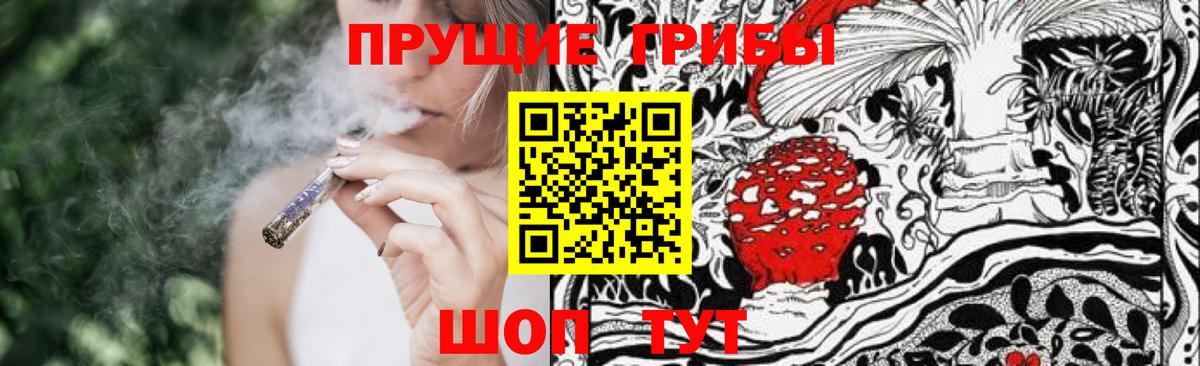 Псилоцибиновые грибы Psilocybe  Псилоцибиновые грибы мицелий  купить наркотик  Вход с VPN  Мичуринск 