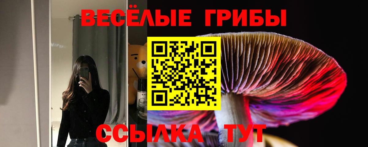 Галлюциногенные грибы ЛСД  Мичуринск 